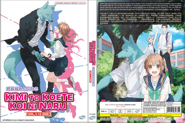 Original DVD - Kimi to Koete Koi ni Naru Vol.1-12 End-DVD-UNIQSO