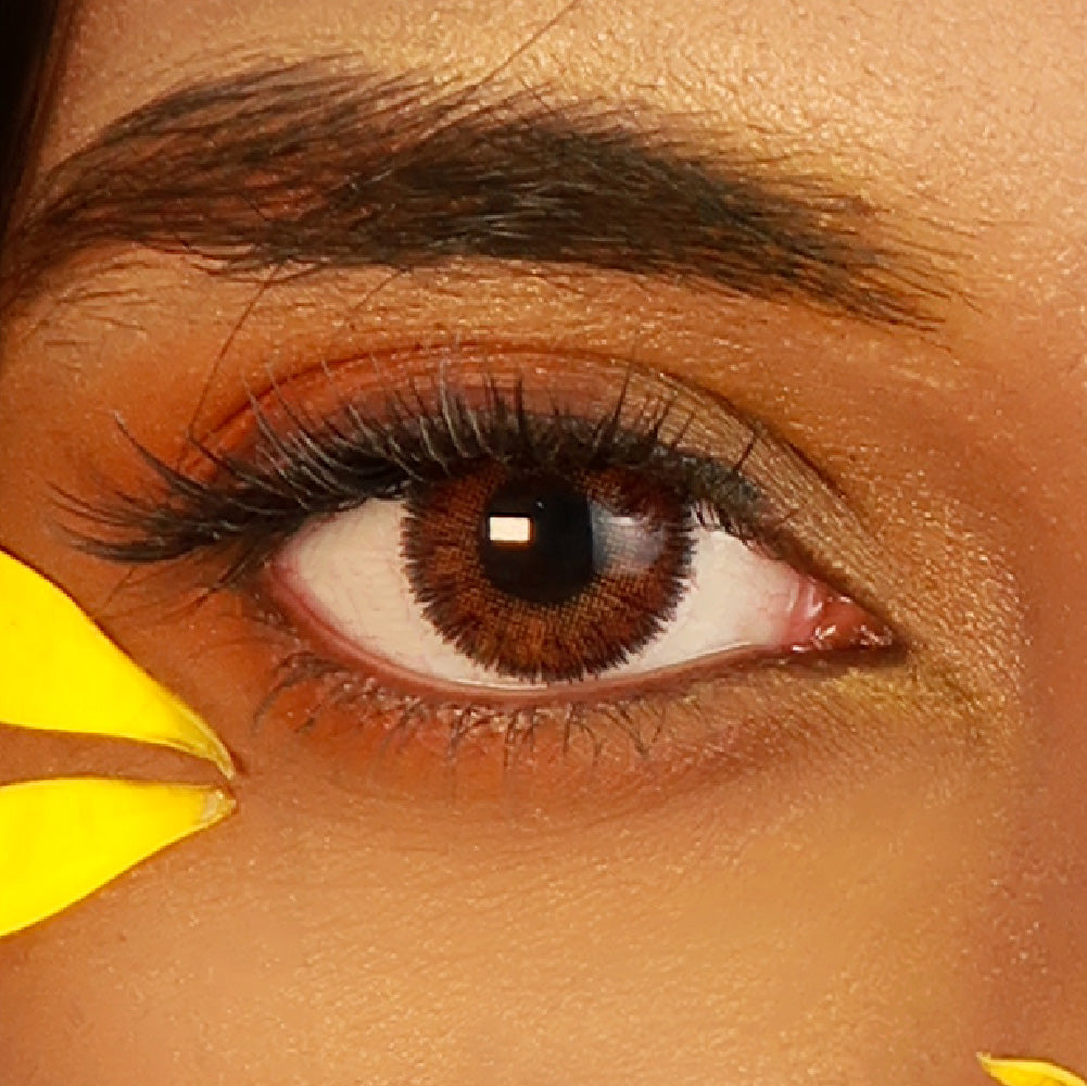 Neo Vision Toric - Dali 3 Color Brown (1 lens/pack)-Colored Contacts-UNIQSO UK