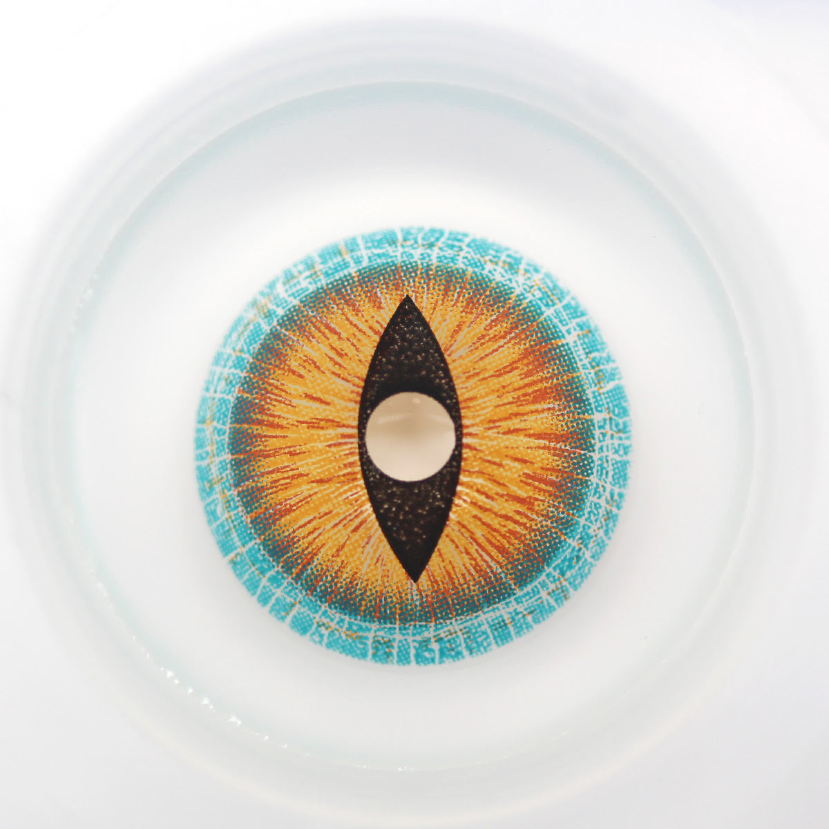 Sweety Mini Sclera Brown Lizard (1 lens/pack)-Mini Sclera Contacts-UNIQSO UK
