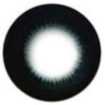 1 Day Sweety Pearl Black Mini (10 lenses/pack)-Colored Contacts-UNIQSO UK