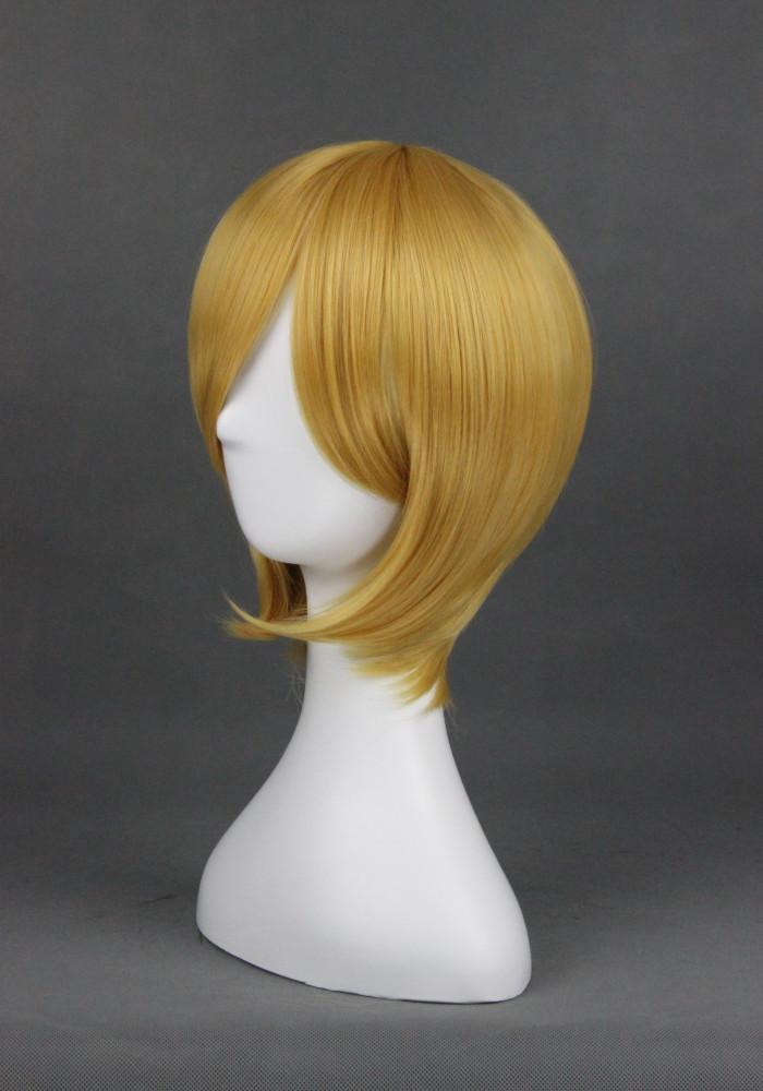 Cosplay Wig - cs 075G-Cosplay Wig-UNIQSO UK