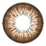 ICK Garnet Brown (1 lens/pack)-Colored Contacts-UNIQSO UK