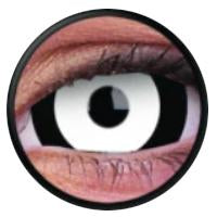 Kazzue Mini Sclera The Doom (1 lens/pack)-Mini Sclera Contacts-UNIQSO UK