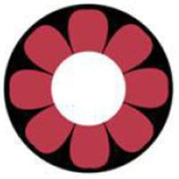 Sweety Crazy Pink Flower (1 lens/pack)-Crazy Contacts-UNIQSO UK