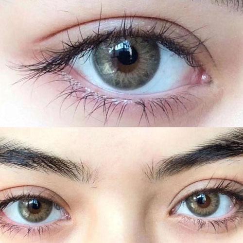 Sweety Taylor Brown (1 lens/pack)-Colored Contacts-UNIQSO UK