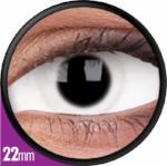 Sweety White Sclera Contacts Whiteout (1 lens/pack)-Sclera Contacts-UNIQSO UK