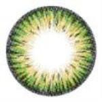 Sweety Colors Of The Wind No 19 Lime (1 lens/pack)-Colored Contacts-UNIQSO