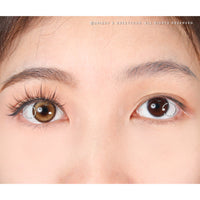 1 Day Sweety Deepveil Brown (2 or 10 lenses/pack)-Colored Contacts-UNIQSO UK