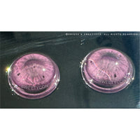 1 Day Sweety Fruit Juice Grape (2 or 10 lenses/pack)-Colored Contacts-UNIQSO UK