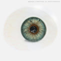 1 Day Sweety Seafoam Papakolea (2 or 10 lenses/pack)-Colored Contacts-UNIQSO