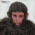 Sweety Orange Sclera Contacts - Orange Elf / Dark Phoenix (1 lens/pack)-Sclera Contacts-UNIQSO UK
