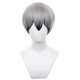 Cosplay Wig - Haikyuu - Shinsuke Kita-Cosplay Wig-UNIQSO