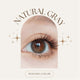 SEED Monthly Color Lens UV - Natural Gray-Colored Contacts-UNIQSO