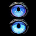 Sweety x Eyesinger Blue Dewdrops (2 lenses/pack)-Colored Contacts-UNIQSO