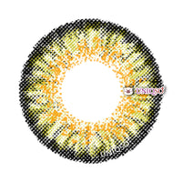 Dueba Toric KH2 Pure Hazel (1 lens/pack)-Colored Contacts-UNIQSO UK