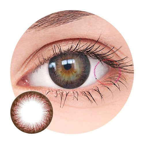 Dueba Toric - TR8 Brown (1 lens/pack)-Colored Contacts-UNIQSO UK