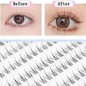 Foxy Sunny Cluster Natural Eyelashes-Fake Eyelash-UNIQSO UK
