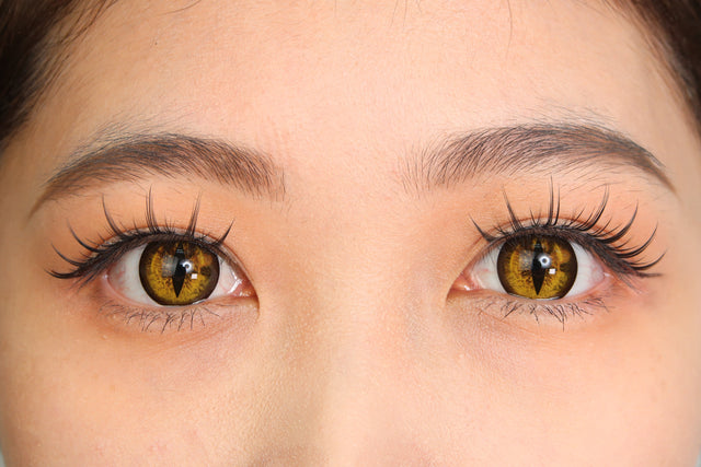 Sweety Crazy Gold Demon Eye / Cat Eye (New) (1 lens/pack)-Crazy Contacts-UNIQSO