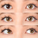 Kazzue Basic Pure Brown (1 lens/pack)-Colored Contacts-UNIQSO UK