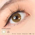 Kazzue Basic Pure Brown (1 lens/pack)-Colored Contacts-UNIQSO UK