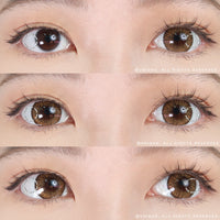 Kazzue Premier Brown (1 lens/pack)-Colored Contacts-UNIQSO UK