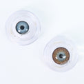 Kazzue Premier Brown (1 lens/pack)-Colored Contacts-UNIQSO UK