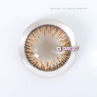 Kazzue Premier Brown (1 lens/pack)-Colored Contacts-UNIQSO UK