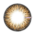 Kazzue Premier Brown (1 lens/pack)-Colored Contacts-UNIQSO UK