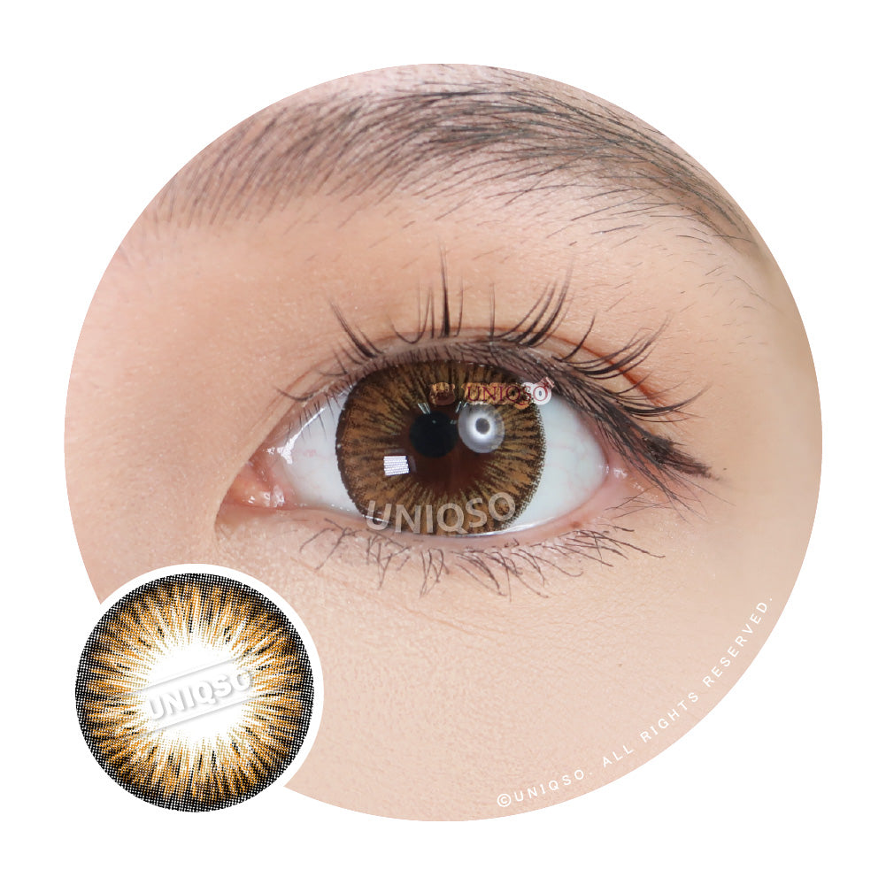 Kazzue Premier Brown (1 lens/pack)-Colored Contacts-UNIQSO UK