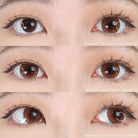 Kazzue Premier Caramel (1 lens/pack)-Colored Contacts-UNIQSO UK