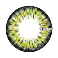 Kazzue Premier Green (1 lens/pack)-Colored Contacts-UNIQSO UK