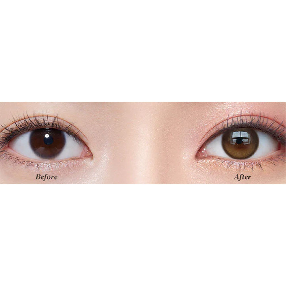 Kazzue Toric Contour Brown (1 lens/pack)-Colored Contacts-UNIQSO UK