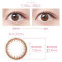SEED Eye Coffret 1 Day UV M Clear Accent - Base Make-Colored Contacts-UNIQSO UK