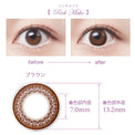 SEED Eye Coffret 1 Day UV M Clear Accent - Rich Make-Colored Contacts-UNIQSO UK