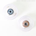 Sweety Butterfly Brown (1 lens/pack)-Colored Contacts-UNIQSO UK
