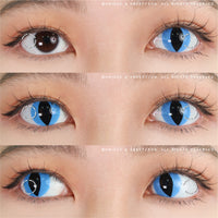 Sweety Crazy Aqua Cat (1 lens/pack)-Crazy Contacts-UNIQSO UK