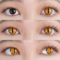 Sweety Crazy Gold Demon Eye / Cat Eye (1 lens/pack)-Crazy Contacts-UNIQSO UK