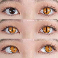 Sweety Crazy Gold Demon Eye / Cat Eye (1 lens/pack)-Crazy Contacts-UNIQSO UK