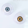 Sweety Crazy Mystic Sun (1 lens/pack)-Crazy Contacts-UNIQSO UK