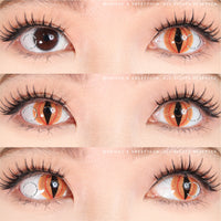 Sweety Crazy Shadowcat (1 lens/pack)-Crazy Contacts-UNIQSO UK