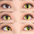Sweety Crazy UV Yellow Cat (1 lens/pack)-Crazy Contacts-UNIQSO UK