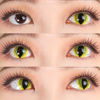 Sweety Crazy UV Yellow Cat (1 lens/pack)-Crazy Contacts-UNIQSO UK