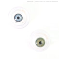 Sweety Magnificent Amazonia Green (1 lens/pack)-Colored Contacts-UNIQSO UK
