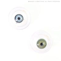 Sweety Magnificent Amazonia Green (1 lens/pack)-Colored Contacts-UNIQSO UK