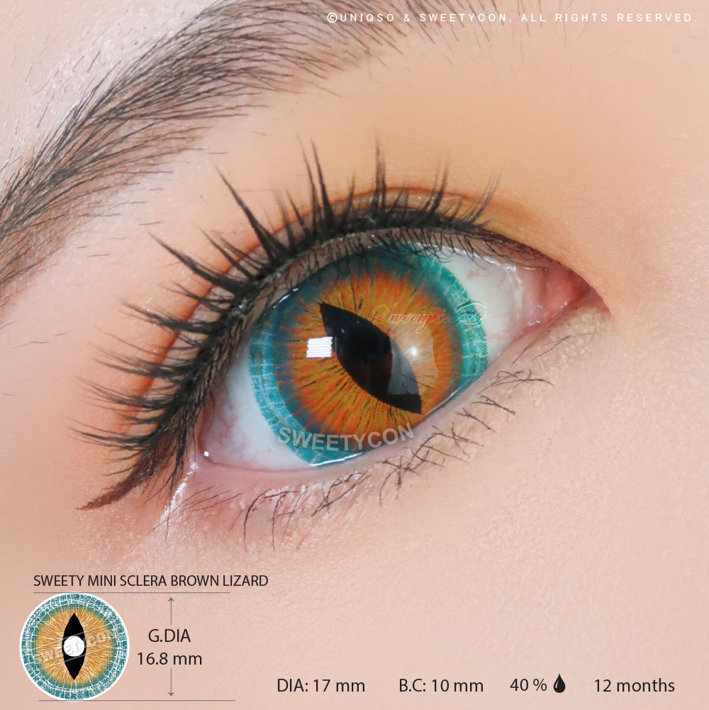 Sweety Mini Sclera Brown Lizard (1 lens/pack)-Mini Sclera Contacts-UNIQSO UK