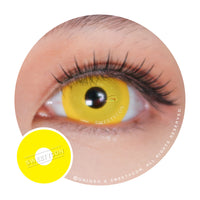 Sweety Mini Sclera Yellow (1 lens/pack)-Mini Sclera Contacts-UNIQSO UK