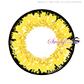Sweety Queen Light Yellow (1 lens/pack)-Colored Contacts-UNIQSO UK