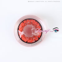 Sweety Queen Wine Red (1 lens/pack)-Colored Contacts-UNIQSO UK