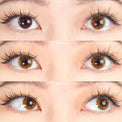Sweety Shine Smile Brown (1 lens/pack)-Colored Contacts-UNIQSO UK