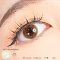 Sweety Shine Smile Brown (1 lens/pack)-Colored Contacts-UNIQSO UK